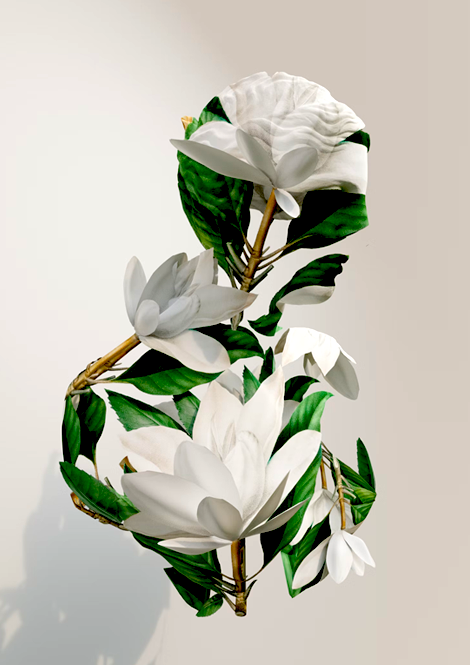 art-images